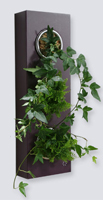 flower box