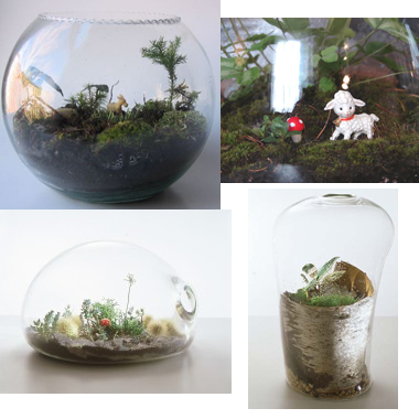 terrarium